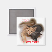 Cat Couple I Liebe You Magnet (Vorderseite/Rückseite)