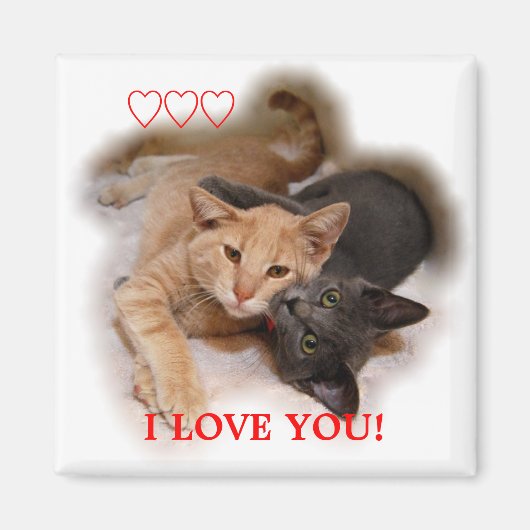Cat Couple I Liebe You Magnet (Vorne)
