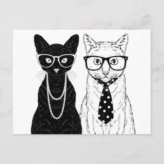 Cat Couple Postkarte (Vorderseite)