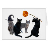 Cat Coven Halloween Card (Vorderseite (Horizontal))