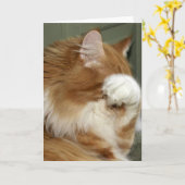 Cat Covering Eyes Karte (Gelbe Blume)