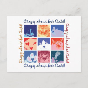 Cat Crazy Postkarte