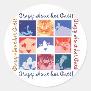Cat Crazy Runder Aufkleber
