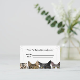 Cat Crowd Business Termin Karten