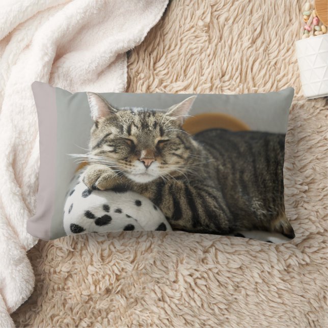 CAT CUDDLE BOYFRIEND TABBY PILLOWS LENDENKISSEN (Decke)