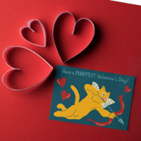 Cat Cupid Valelentinstag