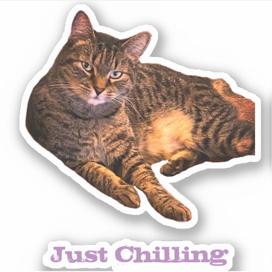 Cat Custom-Cut Vinyl Stickers Aufkleber (Vorderseite)