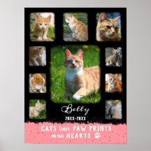Cat Custom Foto Collage ausgeblendete Grenzen Schw