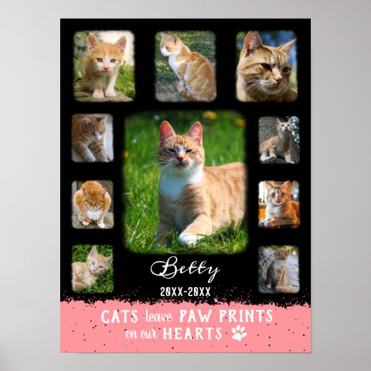 Cat Custom Foto Collage ausgeblendete Grenzen Schw Poster (Vorne)