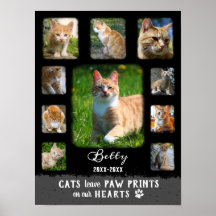 Cat Custom Foto Collage ausgeblendete Grenzen Schw