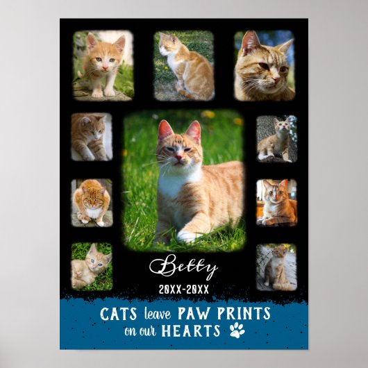 Cat Custom Foto Collage verblichene Grenzen Schwar Poster (Vorne)