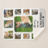 Cat Custom Foto Collage verblichene Grenzen Weiß G Sherpadecke (Vorderseite (Horizontal))