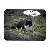 Cat Custom text Foto Magnet (Horizontal)