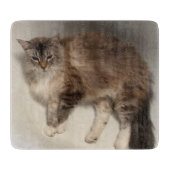 Cat Cutting Board Schneidebrett (Vorderseite)