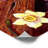 Cat Daffodils Barn Originale Kunst Poster (Ecke)