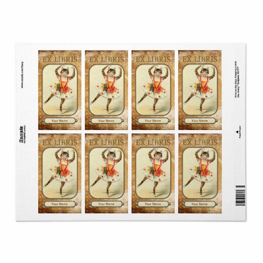 Cat Dance Book Teller (Vorne)