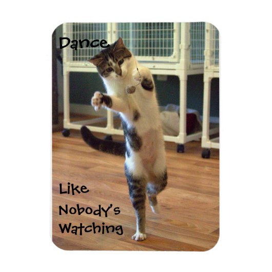 Cat Dance Magnet (Vertikal)