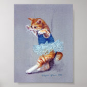 Cat Dancing Poster (Vorne)