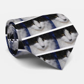 Cat Dark Eyes Krawatte (Gerollt)