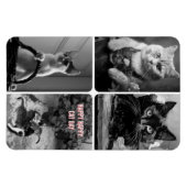 cat day black white red magnet (Horizontal)