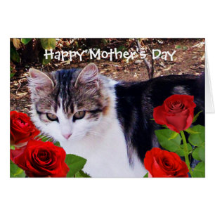 CAT DER MUTTER TAGESmit ROTEN ROSEN