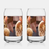 "CAT Design Bedrucktes Set aus Glas, Packung mit 2 Dosenglas (Links)
