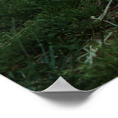Cat - Die Maus Poster (Ecke)
