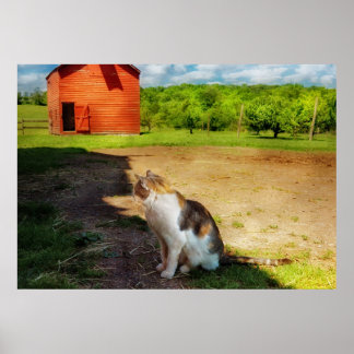Cat - Die Maus Poster