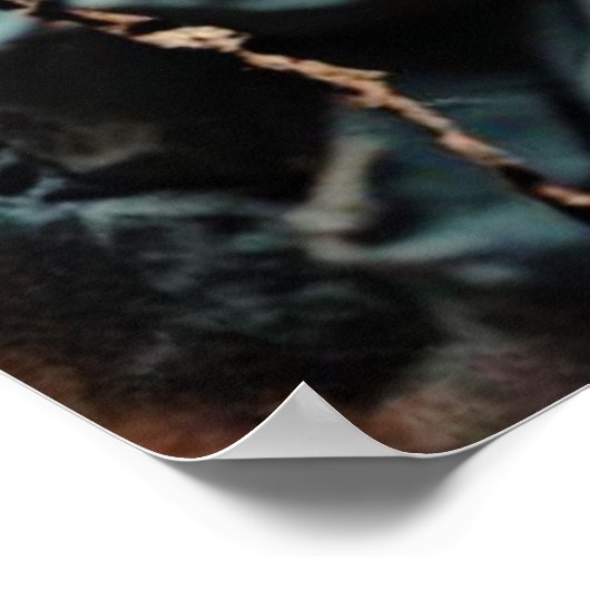 Cat Disco Poster (Ecke)