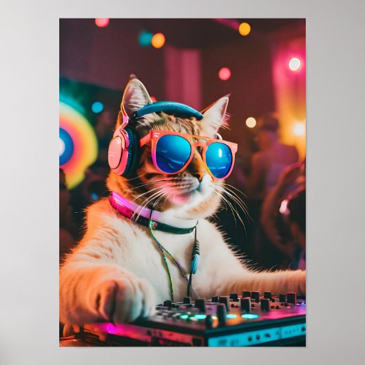 Cat DJ Party Vibes, Cat Lover Gift Poster (Vorne)