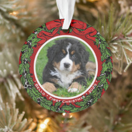 Cat Dog Foto Erste Weihnachtsbeeren Ornament