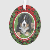 Cat Dog Foto Erste Weihnachtsbeeren Ornament (Vorderseite)