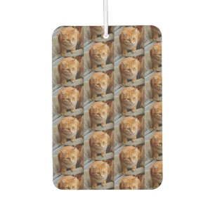 Cat Dog Foto personalisieren benutzerdefinierte gr Autolufterfrischer