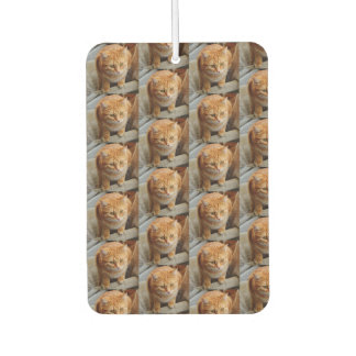 Cat Dog Foto personalisieren benutzerdefinierte gr Autolufterfrischer