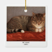 Cat Dog Foto Pet Memorial Geschenk Weihnachten Keramikornament (Rückseite)