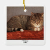 Cat Dog Foto Pet Memorial Geschenk Weihnachten Keramikornament (Vorderseite)