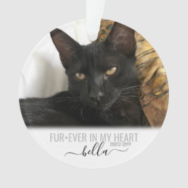 Cat Dog Pet Loss Memorial Personalisiert Ornament