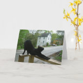 Cat Doing Morning Yoga Greeting Card Karte (Gelbe Blume)