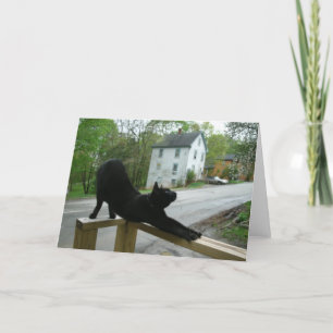 Cat Doing Morning Yoga Greeting Card Karte