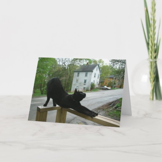 Cat Doing Morning Yoga Greeting Card Karte (Vorderseite)