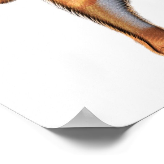 Cat Double Bass Player Poster (Ecke)