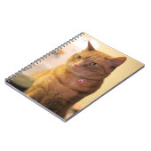 Cat Drawstring Bag Notizblock (Linke Seite)