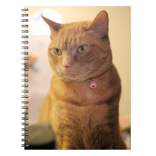 Cat Drawstring Bag Notizblock (Vorderseite)