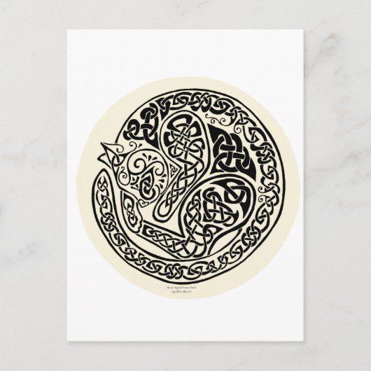 Cat Dreams Celtic Black Ivory Postkarte (Vorderseite)