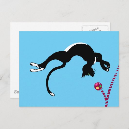 Cat dreh postkarte (Vorne/Hinten)