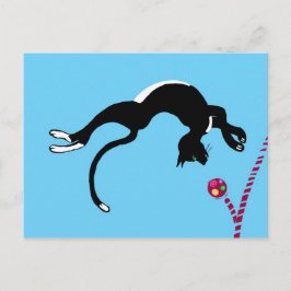 Cat dreh postkarte