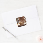 Cat drinking coffee from a cup quadratischer aufkleber (Umschlag)