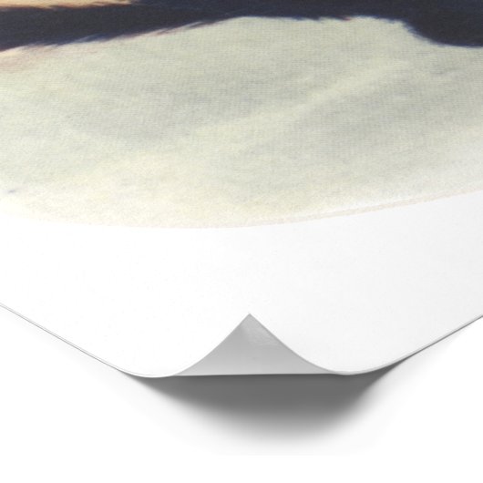 Cat Duo Poster (Ecke)