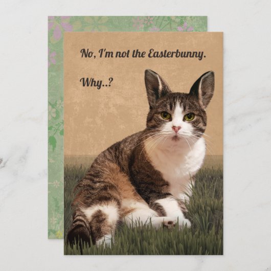Cat-Easterbunny 🐰 😸 Feiertagskarte (Vorne/Hinten)
