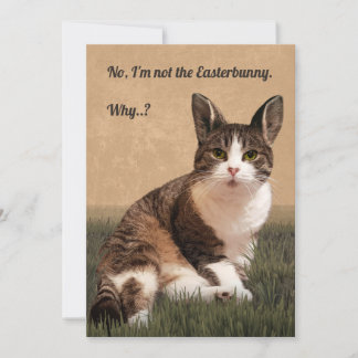 Cat-Easterbunny 🐰 😸 Feiertagskarte